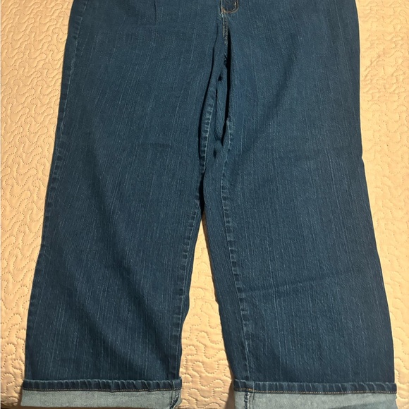 Kim Rogers Womens Jeans Straight Legs Size 22 Short Spandex Cotton - Picture 4 of 6